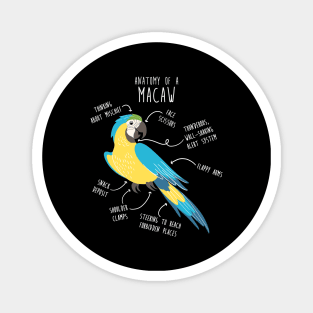 Blue and Gold Macaw Parrot Anatomy Magnet